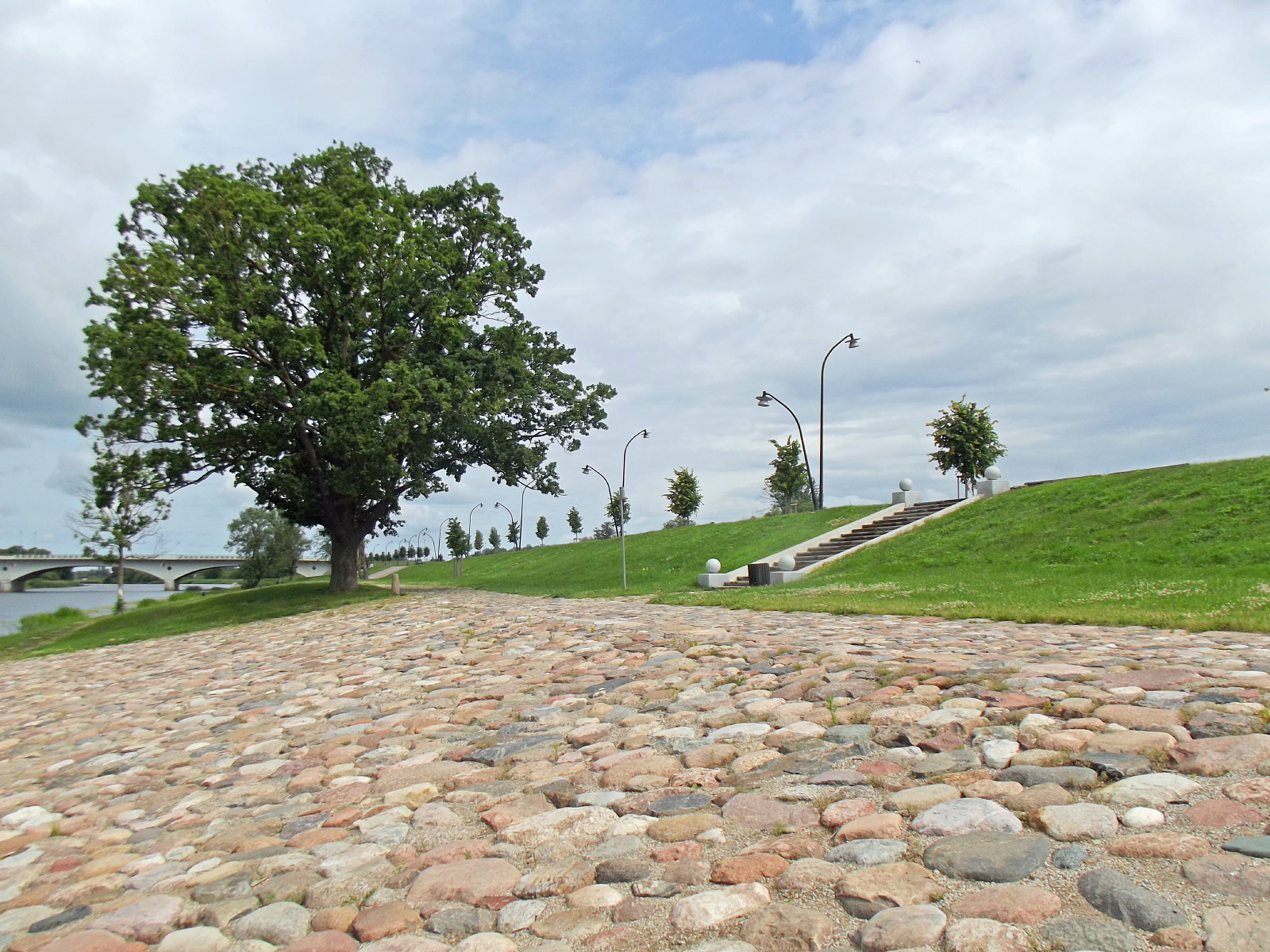 Jeglava